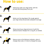 Deodorizing & Antibacterial Dog Pee Pads (MINI-XXL Sizes) - 10 Pieces (Extra Quantity Pack) - Freshen the Environment, Care for Your Dog's Health