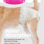 Washable Male Dog Abdominal Wrap Diapers - 1 Piece, XXS-XXL Sizes - Eco-Friendly & Durable, Suitable for Small Male Dogs