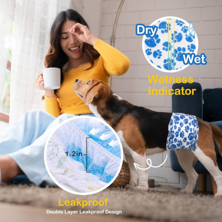 Washable Male Dog Abdominal Wrap Diapers - 1 Piece, XXS-XXL Sizes - Eco-Friendly & Durable, Suitable for Small Male Dogs