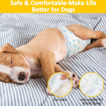 Deodorizing & Antibacterial Dog Pee Pads (MINI-XXL Sizes) - 10 Pieces (Extra Quantity Pack) - Freshen the Environment, Care for Your Dog's Health
