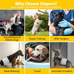 Deodorizing & Antibacterial Dog Pee Pads (MINI-XXL Sizes) - 10 Pieces (Extra Quantity Pack) - Freshen the Environment, Care for Your Dog's Health
