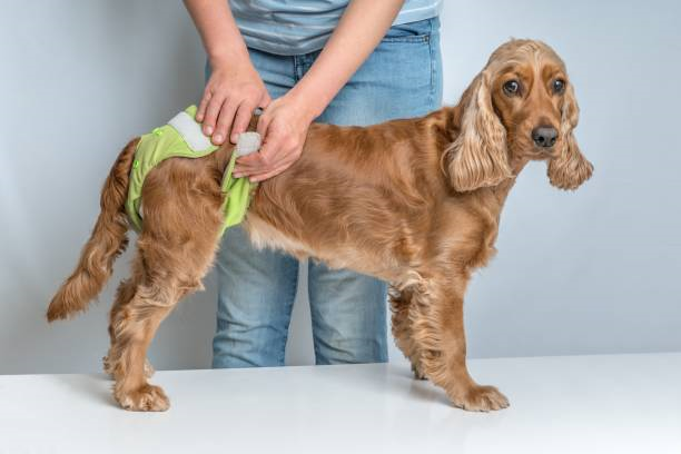 istockphoto 1274963903 612x612